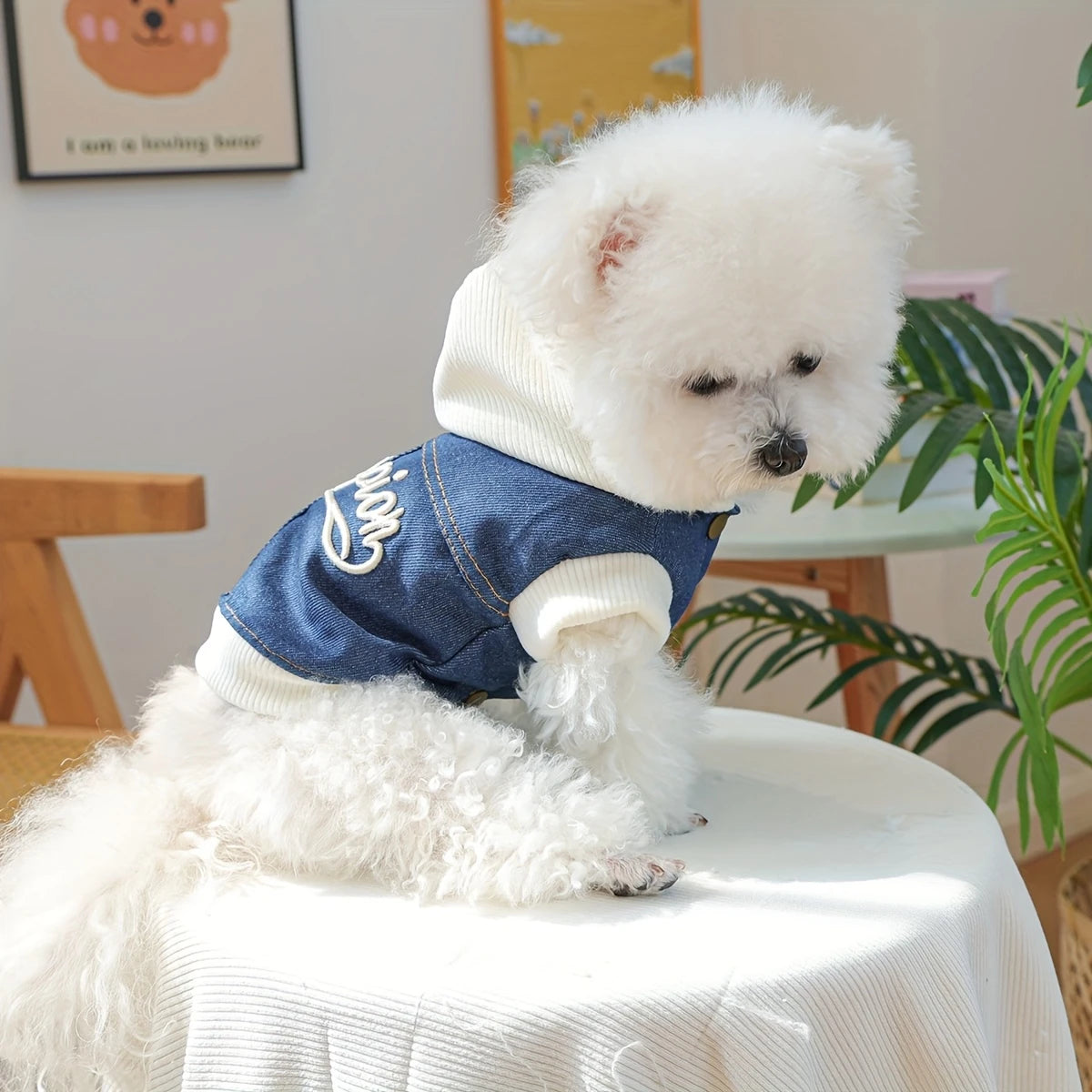 Champion Denim Dog Hoodie – Blue & White